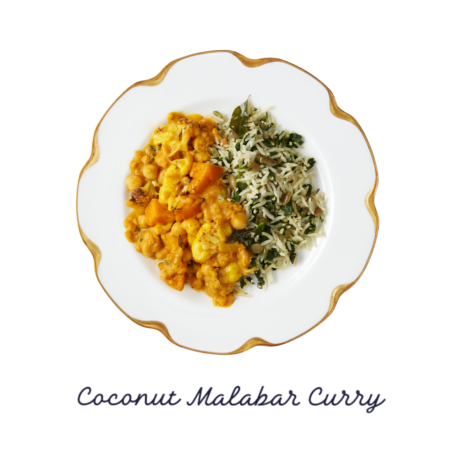 Our First Collection of Delicious Indian Meals